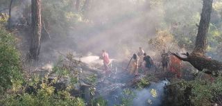 Manavgat’taki orman yangını büyümeden söndürüldü